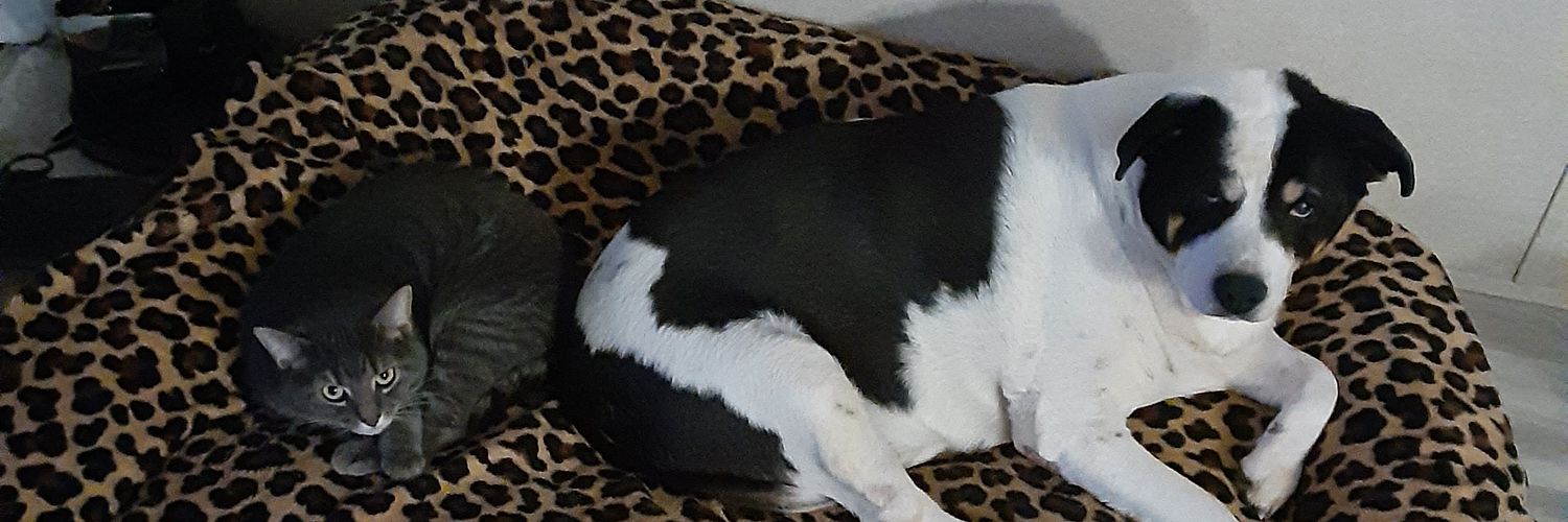 A Backhand From The Left banner