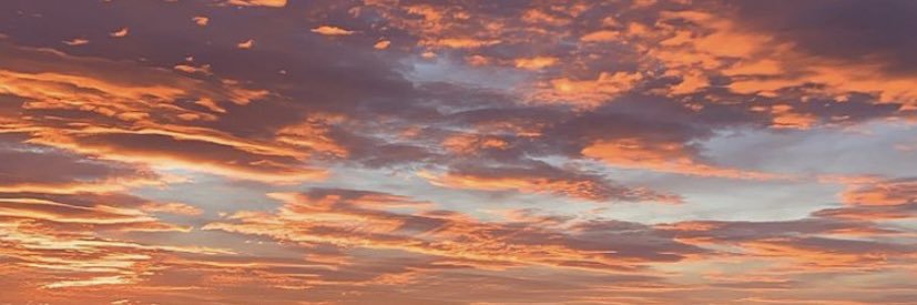 lea_lemasson's profile banner image