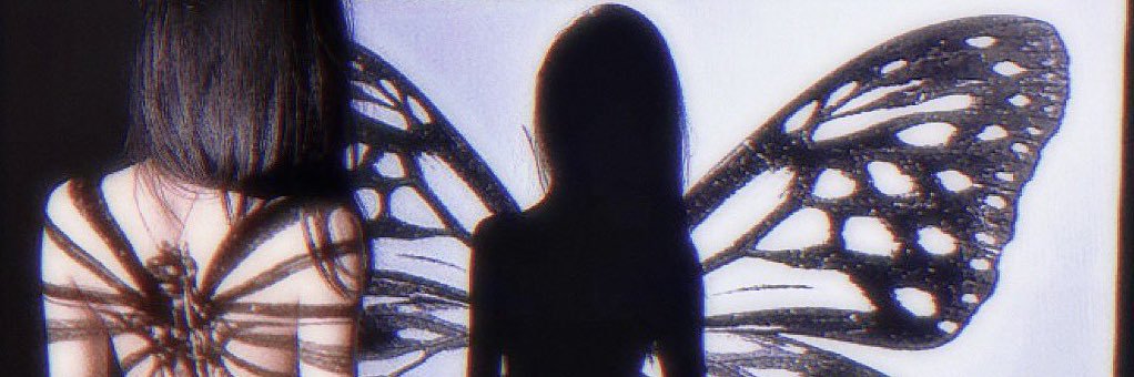 leoninabbrs's profile banner image