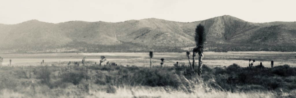 Ernesto Núñez Albarrán banner