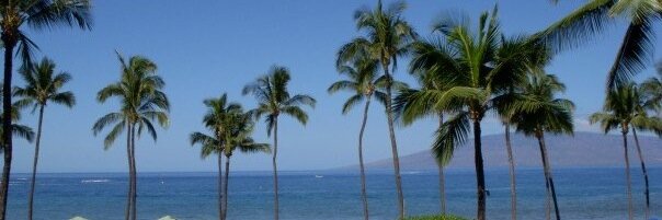 Amy Everhart banner