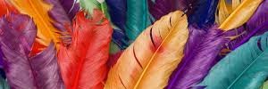 MissAlvi's profile banner image