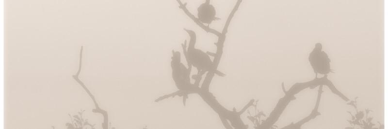 AlvaZaH's profile banner image