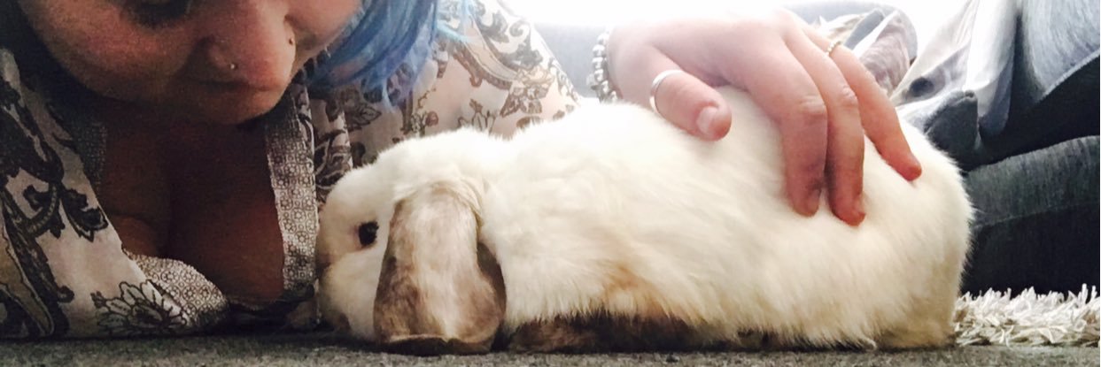 AmyCross_x's profile banner image