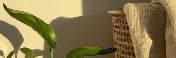 Nakiaaa_'s profile banner image