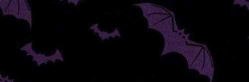 erinkrick's profile banner image