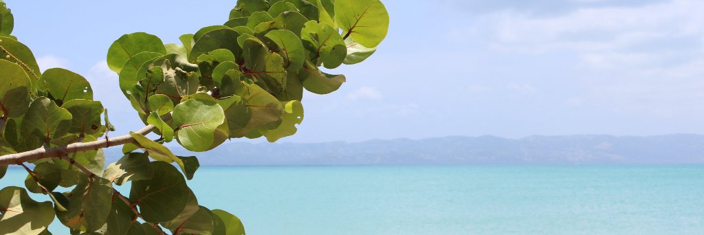 jldoudard's profile banner image