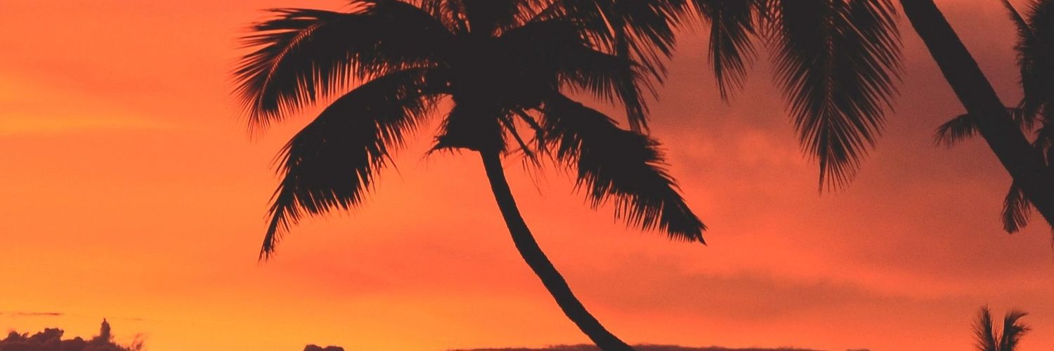 el__swag's profile banner image