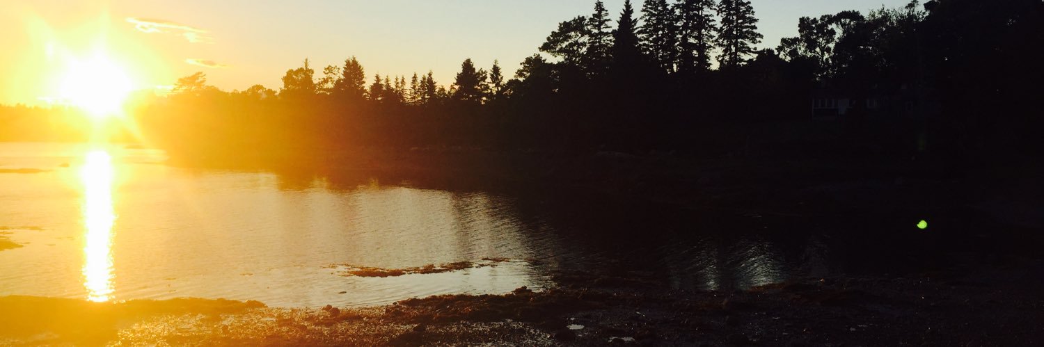 Dana Layo-Carris, PhD 🧬🔬🧠 banner