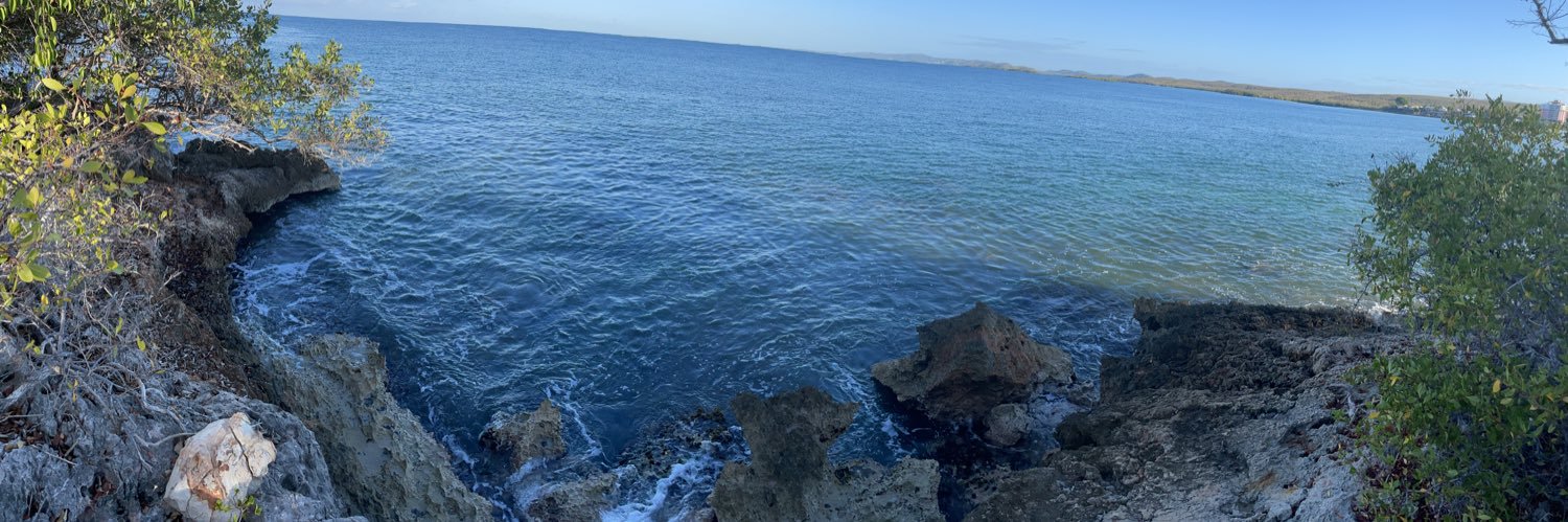 Ingrid_msr's profile banner image