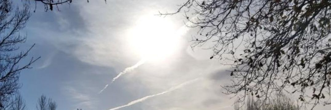 Antonio curcio neto banner