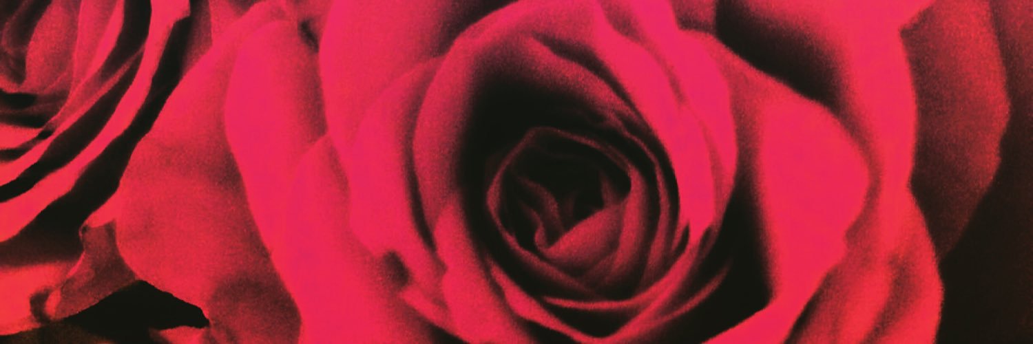 eager_eyes_'s profile banner image