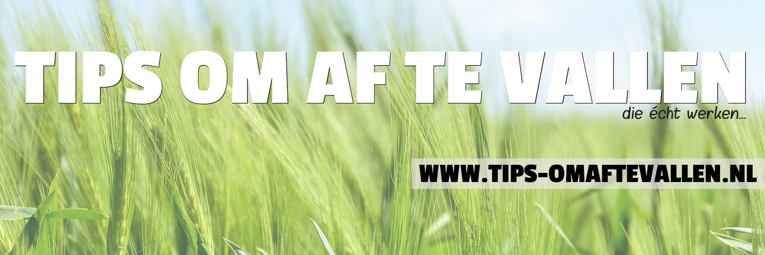 Tipsomaftevall's profile banner image