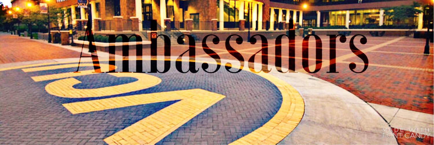 VCUSAA's profile banner image