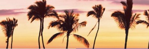 TEDaRin Profile Banner