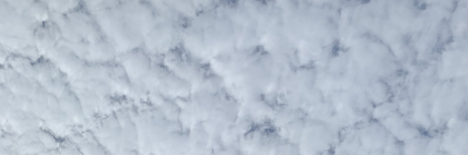 srttaa__'s profile banner image