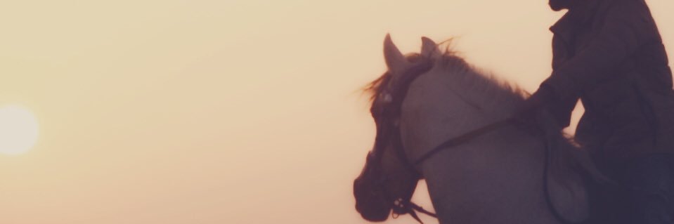 61e61e's profile banner image