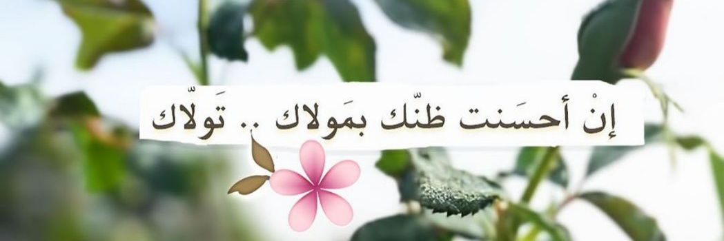 🦋 banner