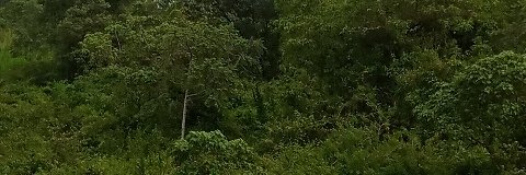 Earth Foetus 🇰🇪 banner
