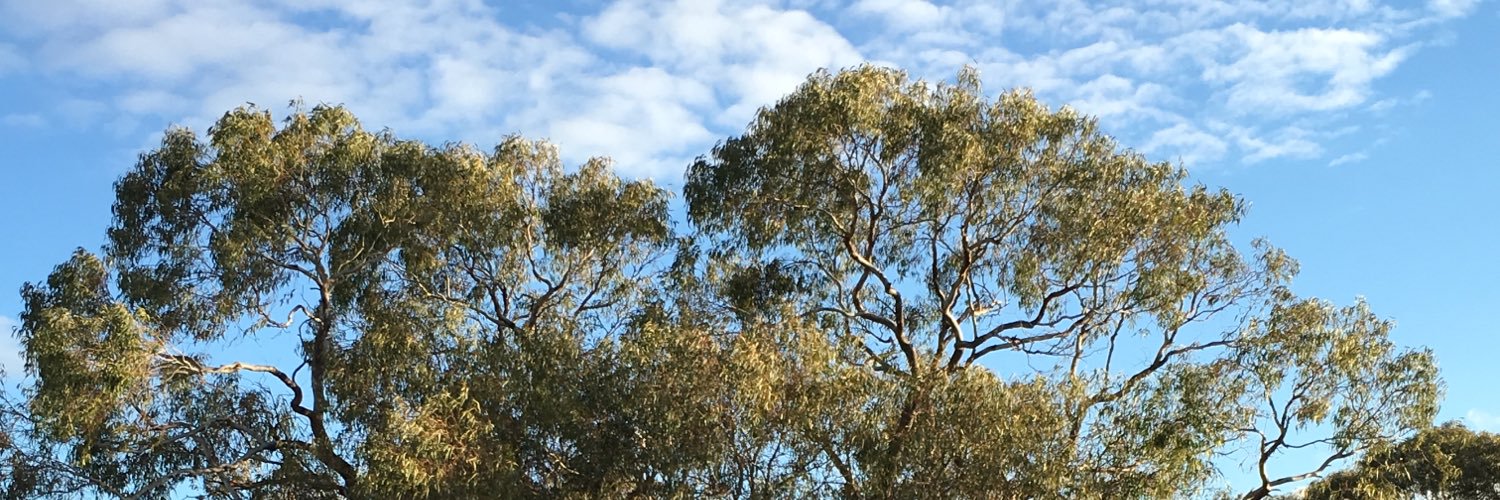 ChristoPrice's profile banner image