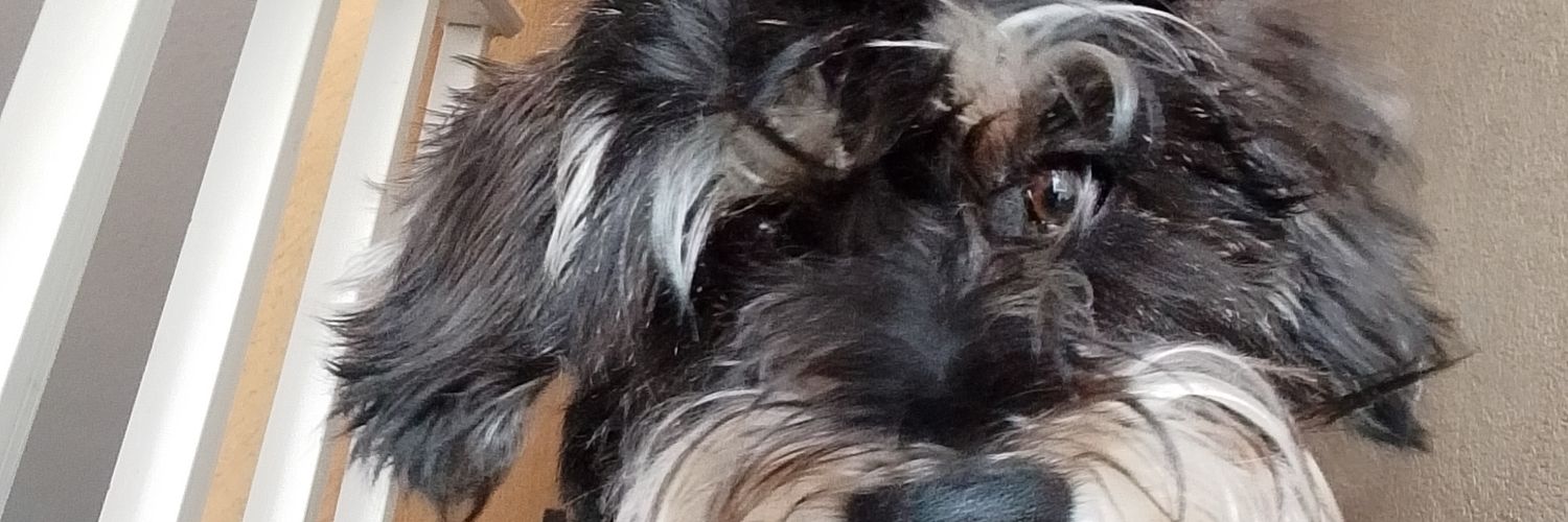 molonsimpson's profile banner image