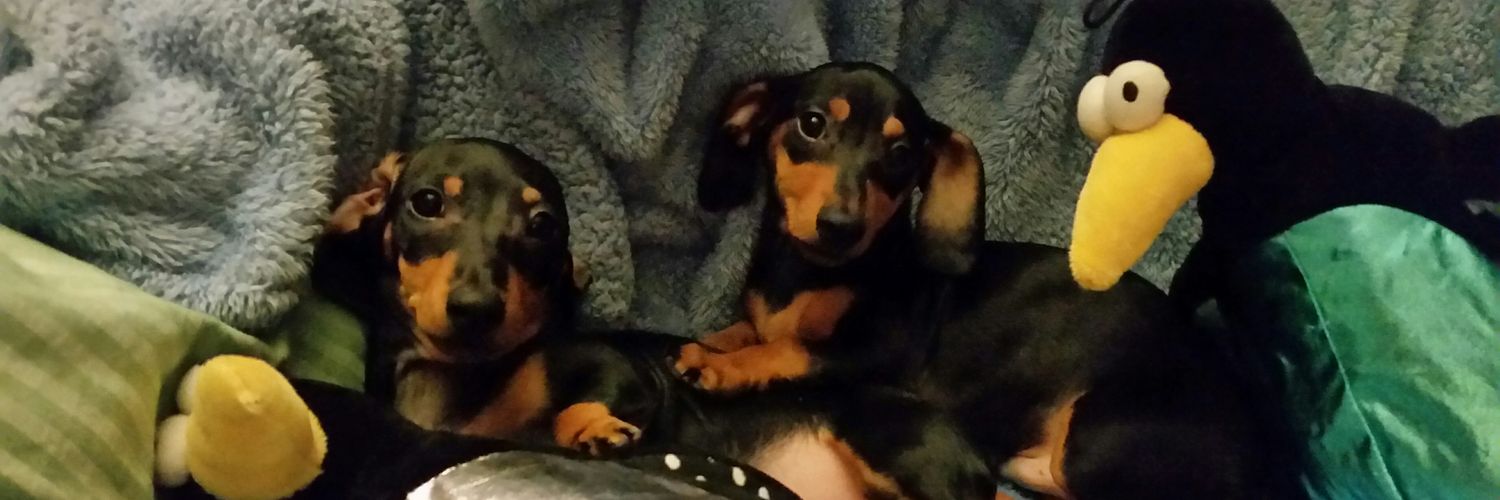 Jake🐾⚜Jack🐾⚜Ree👣⚜ banner