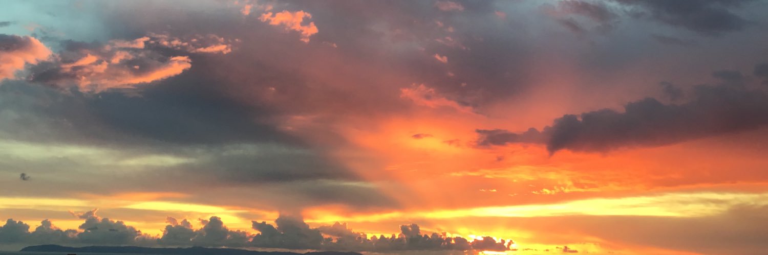 TateTribe's profile banner image