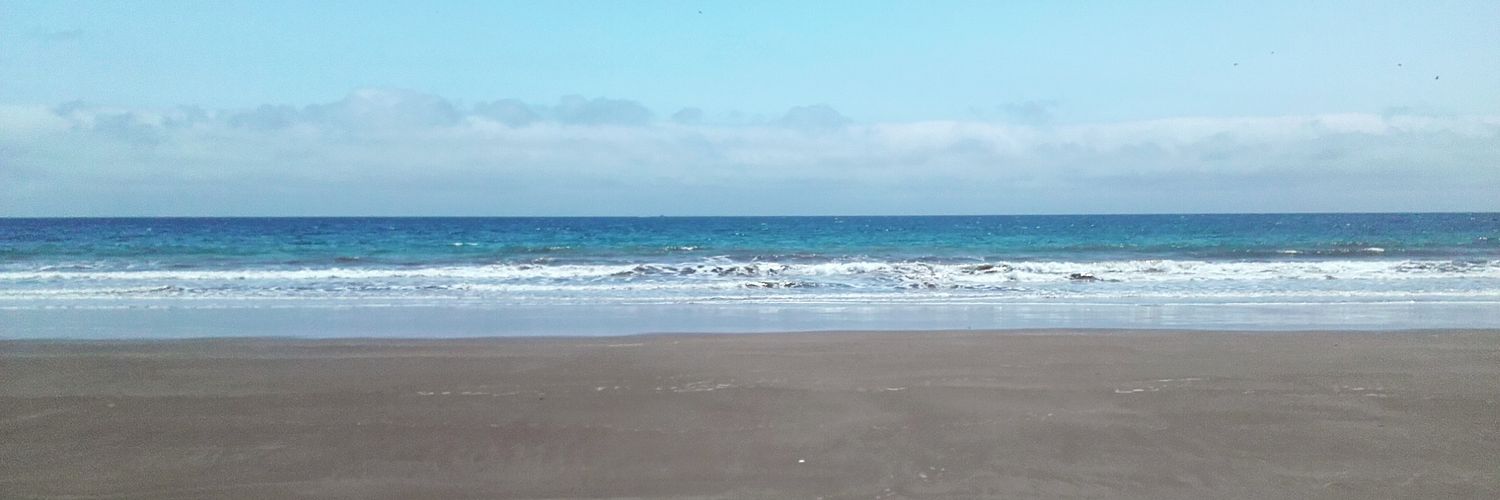 paulaparrenob's profile banner image