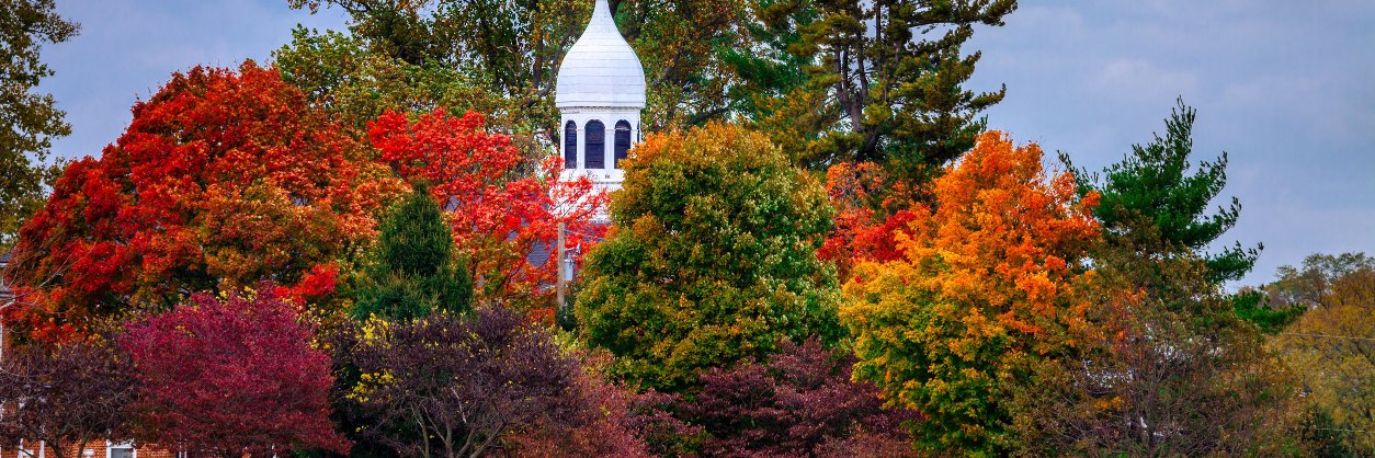 BLConservancy banner