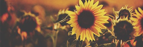 Jessica_AnnX's profile banner image