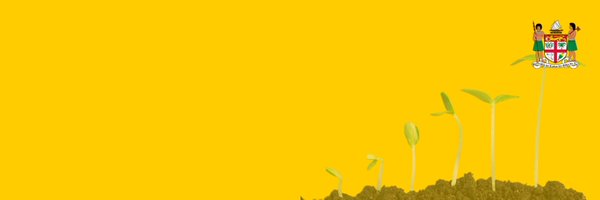 MCTTTFiji Profile Banner