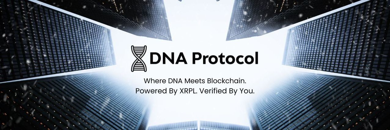 XDNAOnChain's profile banner image