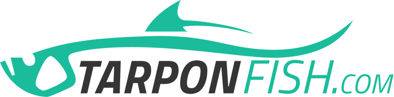 CaptMattErcoli's profile banner image
