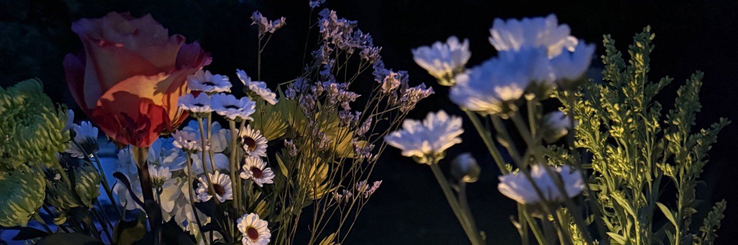 daralexandra's profile banner image