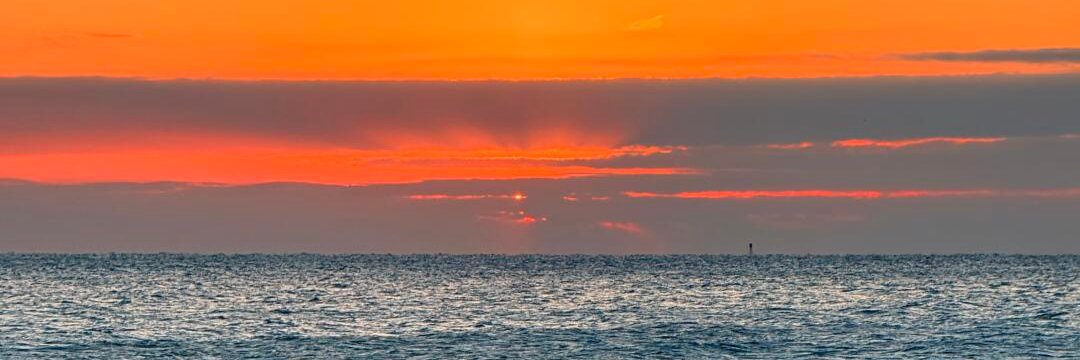 _lisa_turner's profile banner image