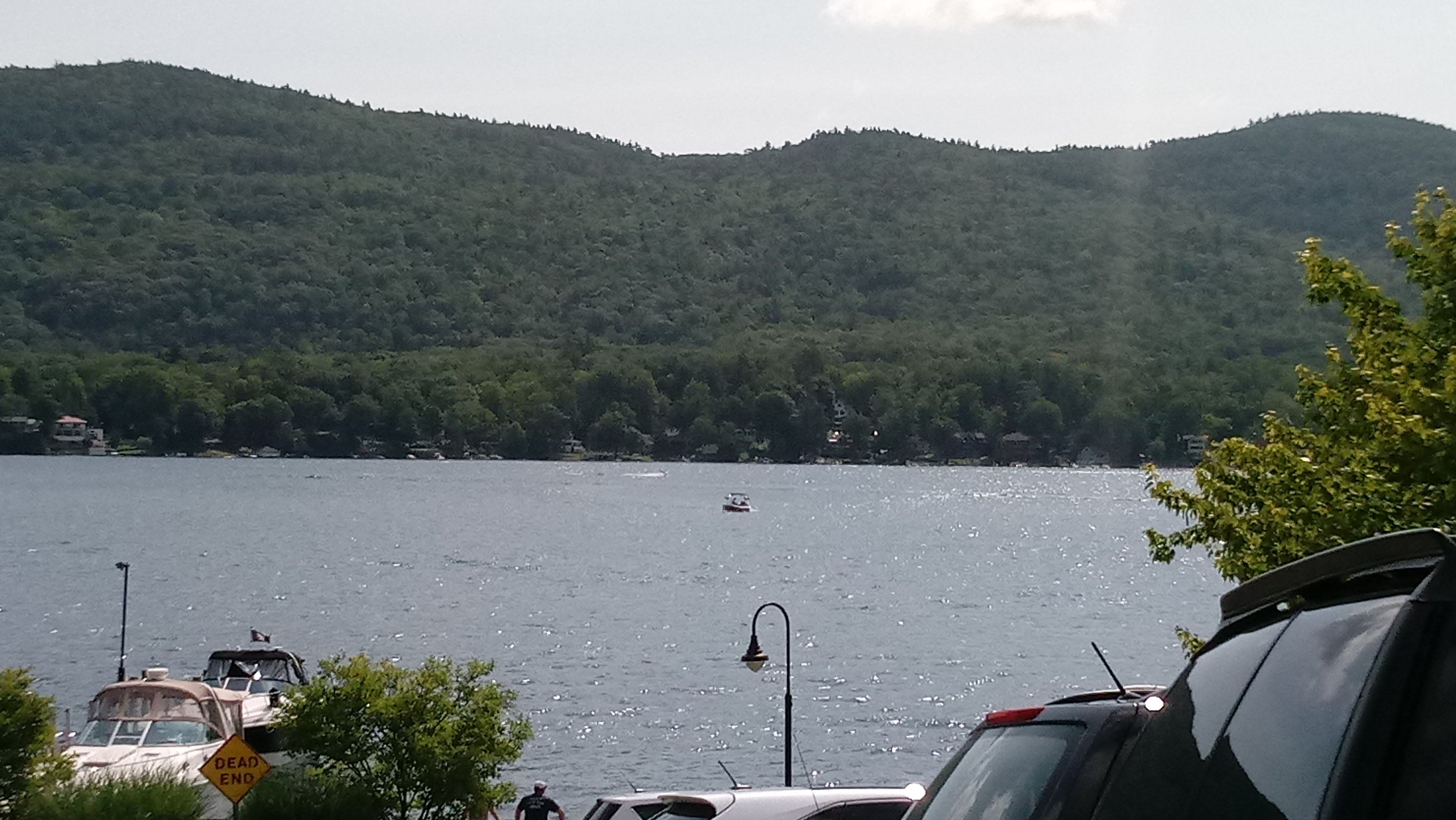 Nelson B. Alves banner