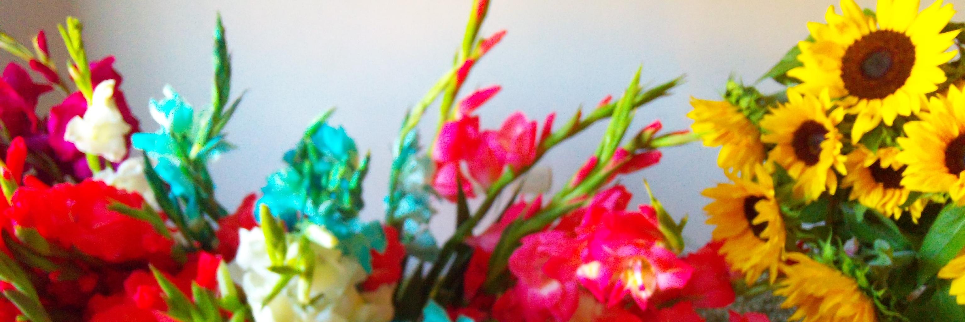 MermaidGirl888's profile banner image