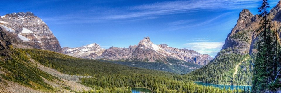 U.S. National Parks banner