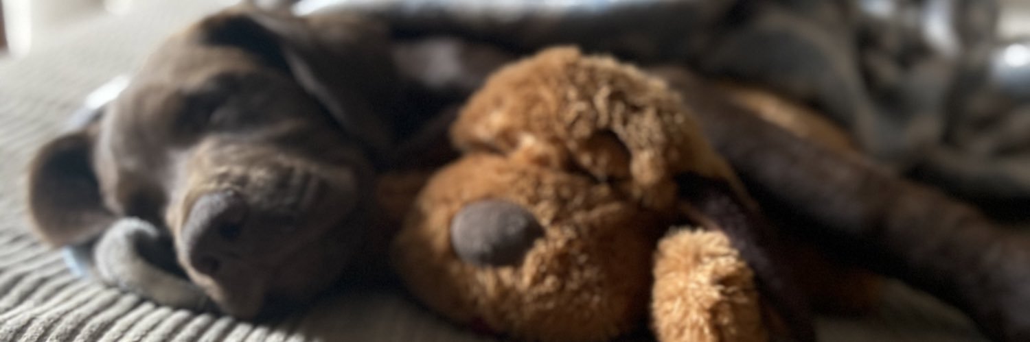 jill2882's profile banner image