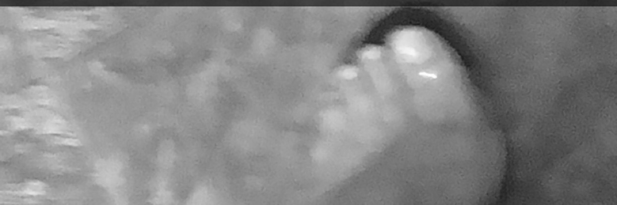 therealnoname's profile banner image