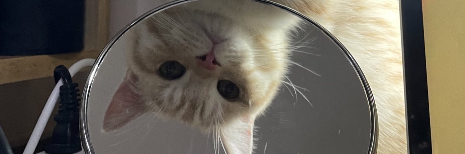 yuri 🐈‍⬛ ྀི banner