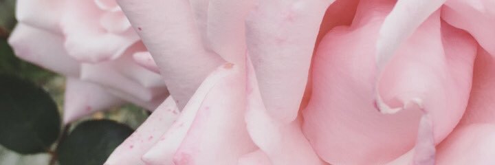 FFTHD_22's profile banner image