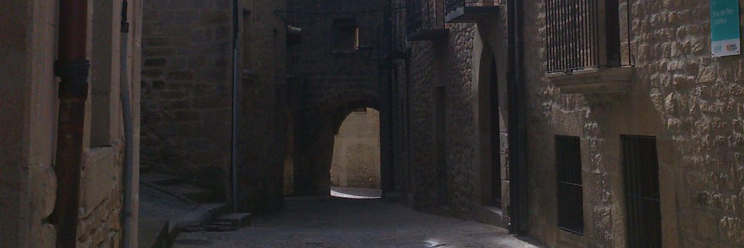 Vicente Serrano banner