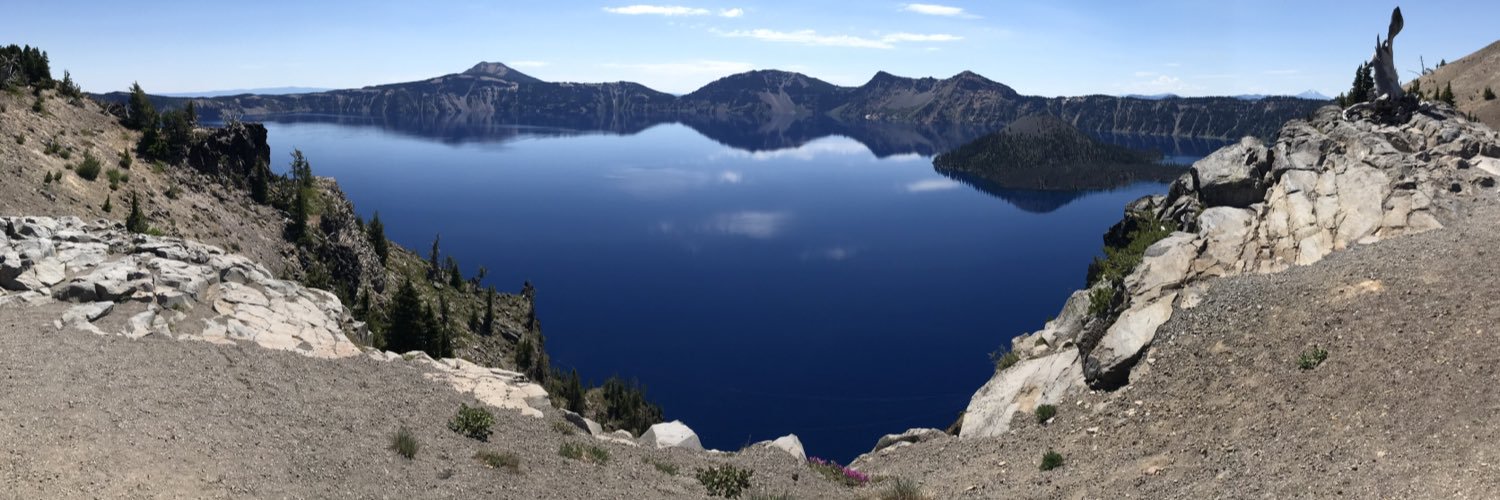 Sarah Neubert banner