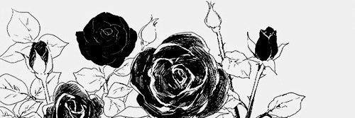 archibalbino's profile banner image