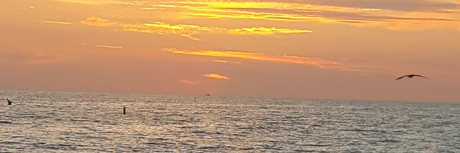 lisacomeau23's profile banner image