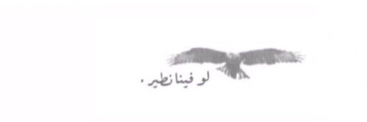 _nofh_'s profile banner image