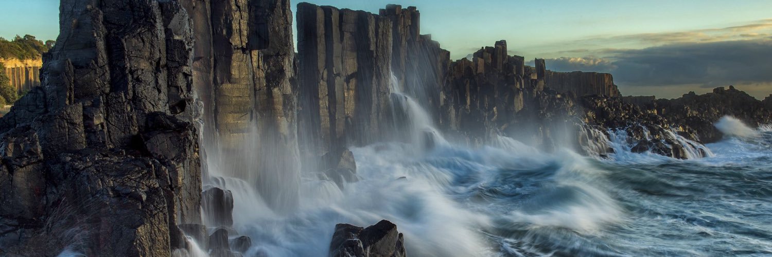 TED🐨🇦🇺 banner