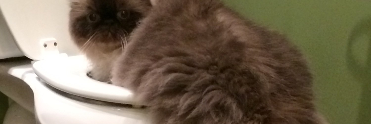matbufo's profile banner image