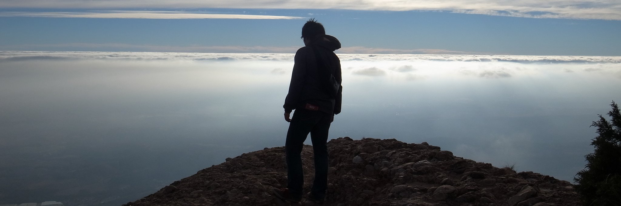 tkf's profile banner image